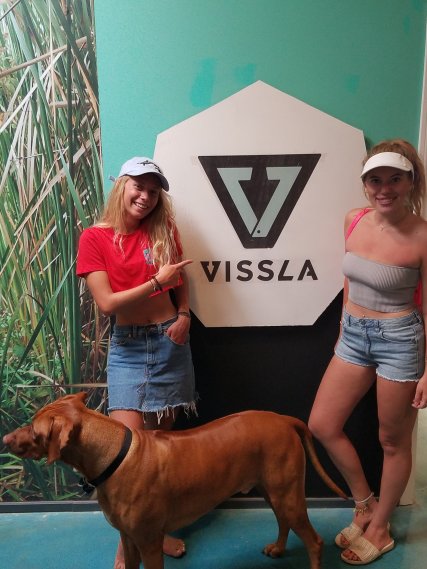 The Vissla Room