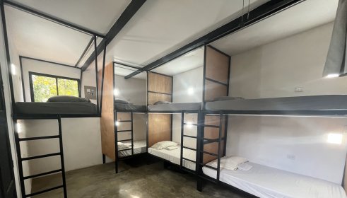 Jungle dorm - Room 7