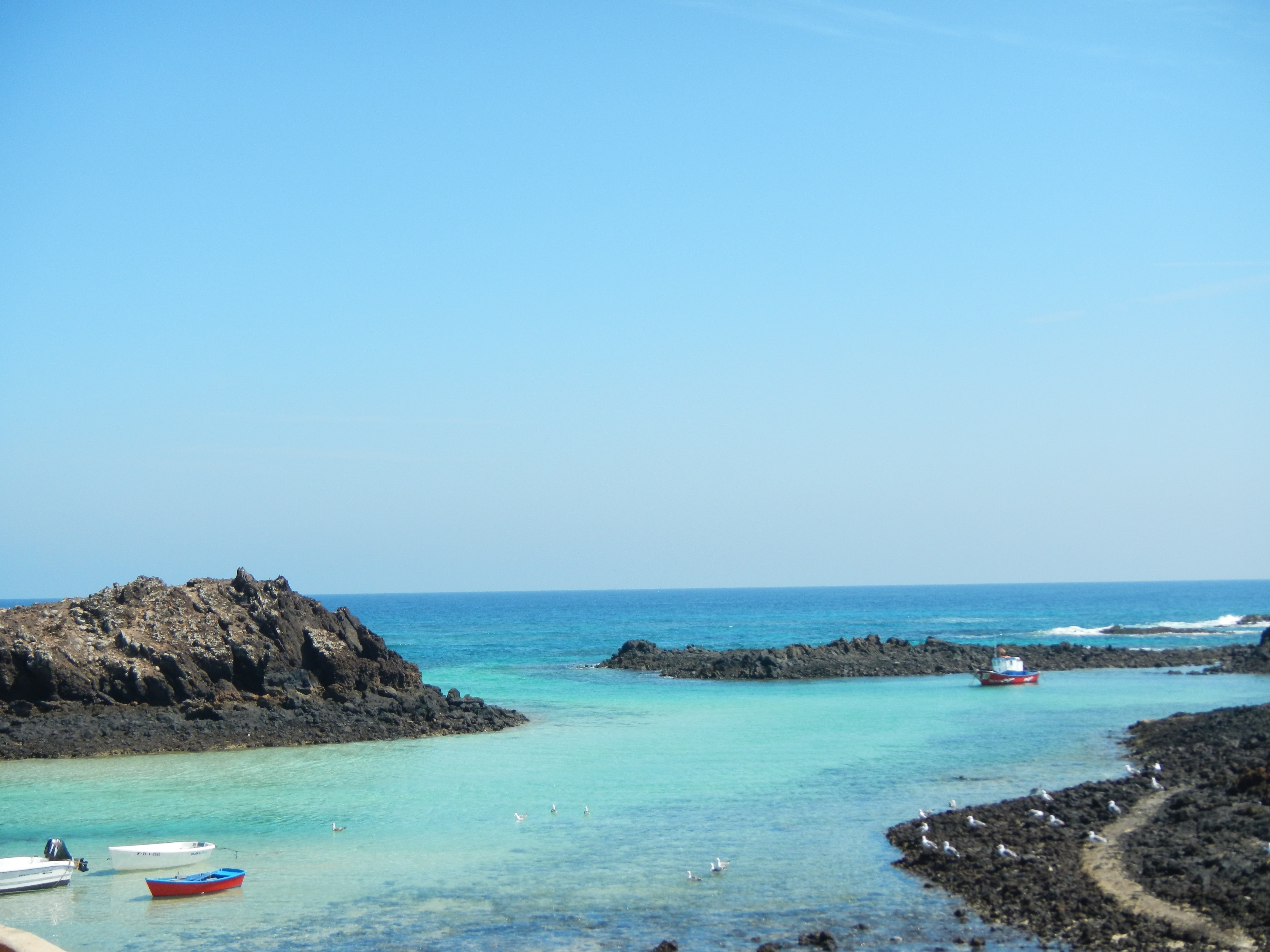 SUP Redshark Fuerteventura