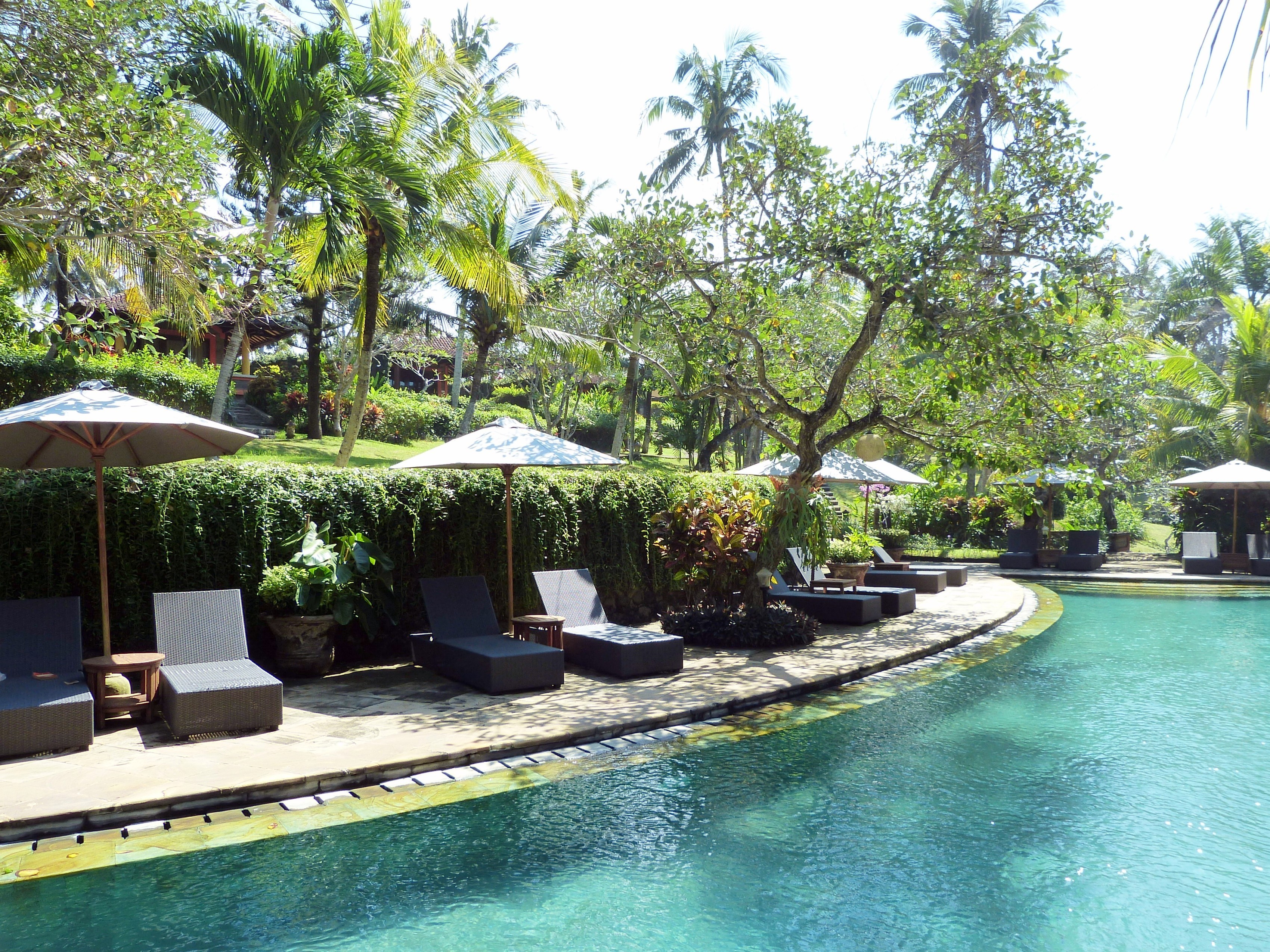 Surfholidays.com: Gajah Mina Beach Resort, Bali